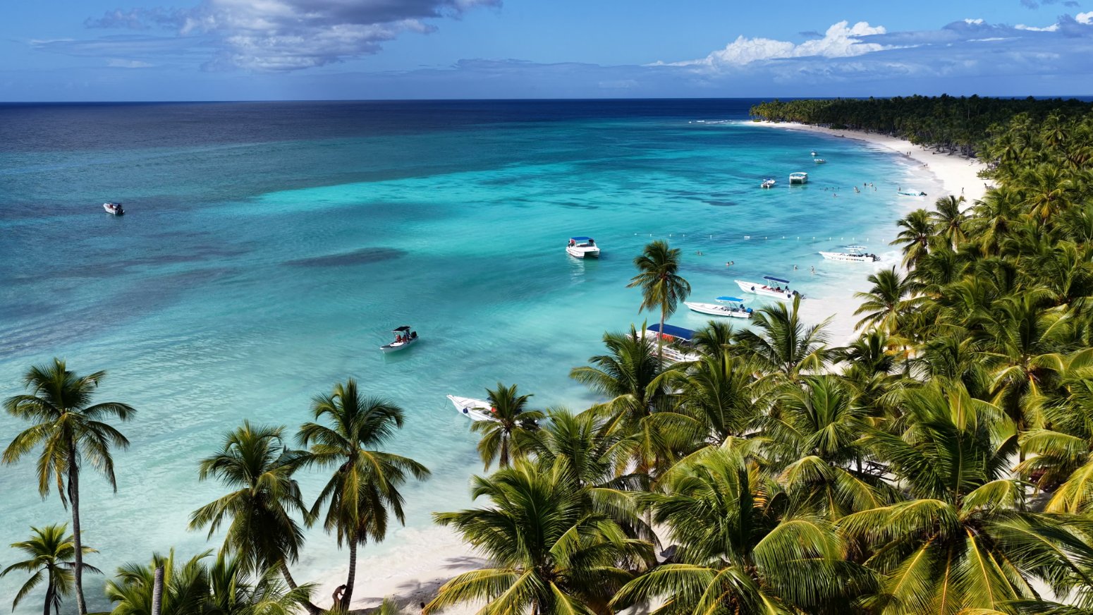 isla saona palmeras aguas turquesas