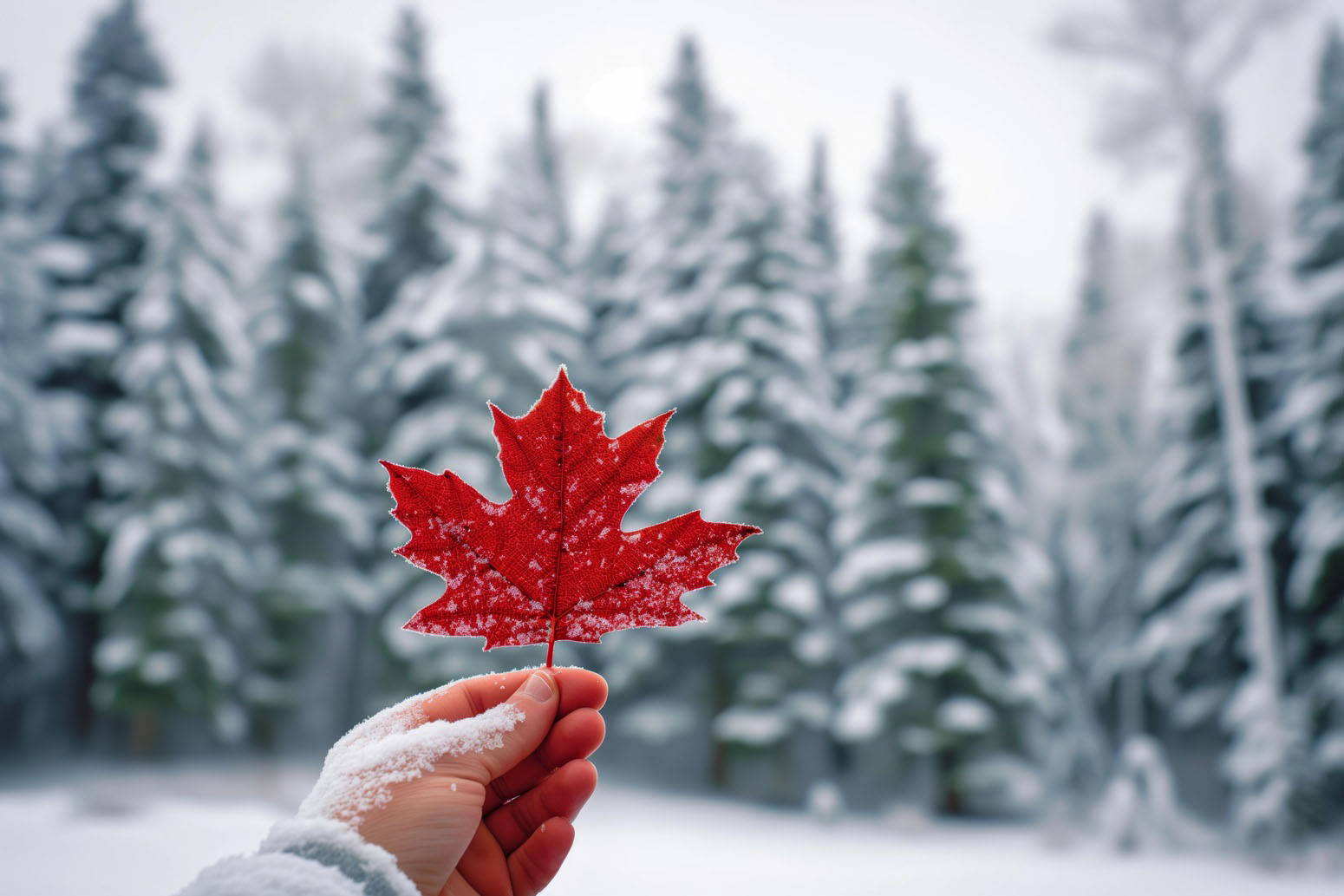 D&iacute;a libre en la nieve, viajes monoparentales