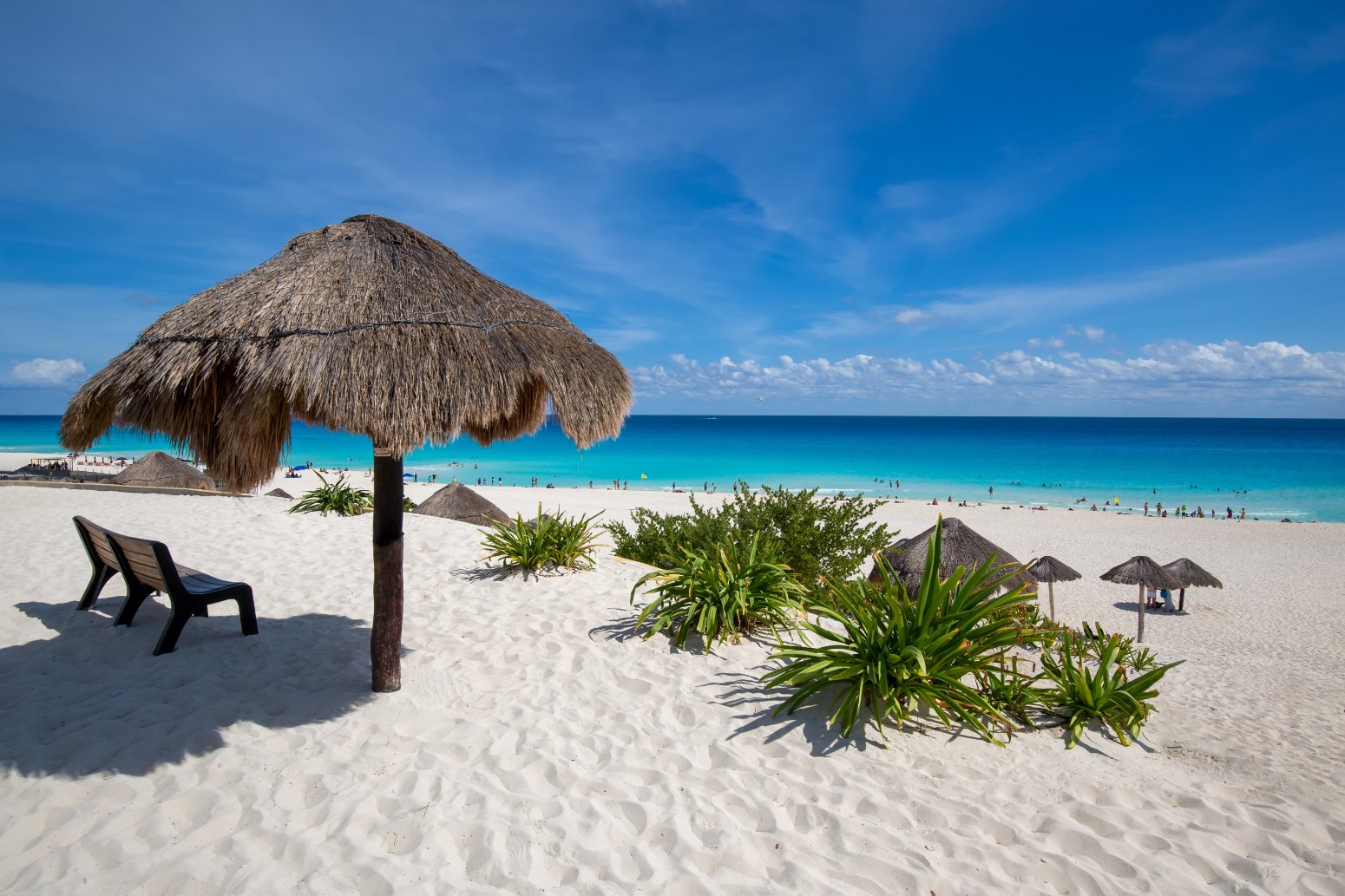 cancun playa delfines