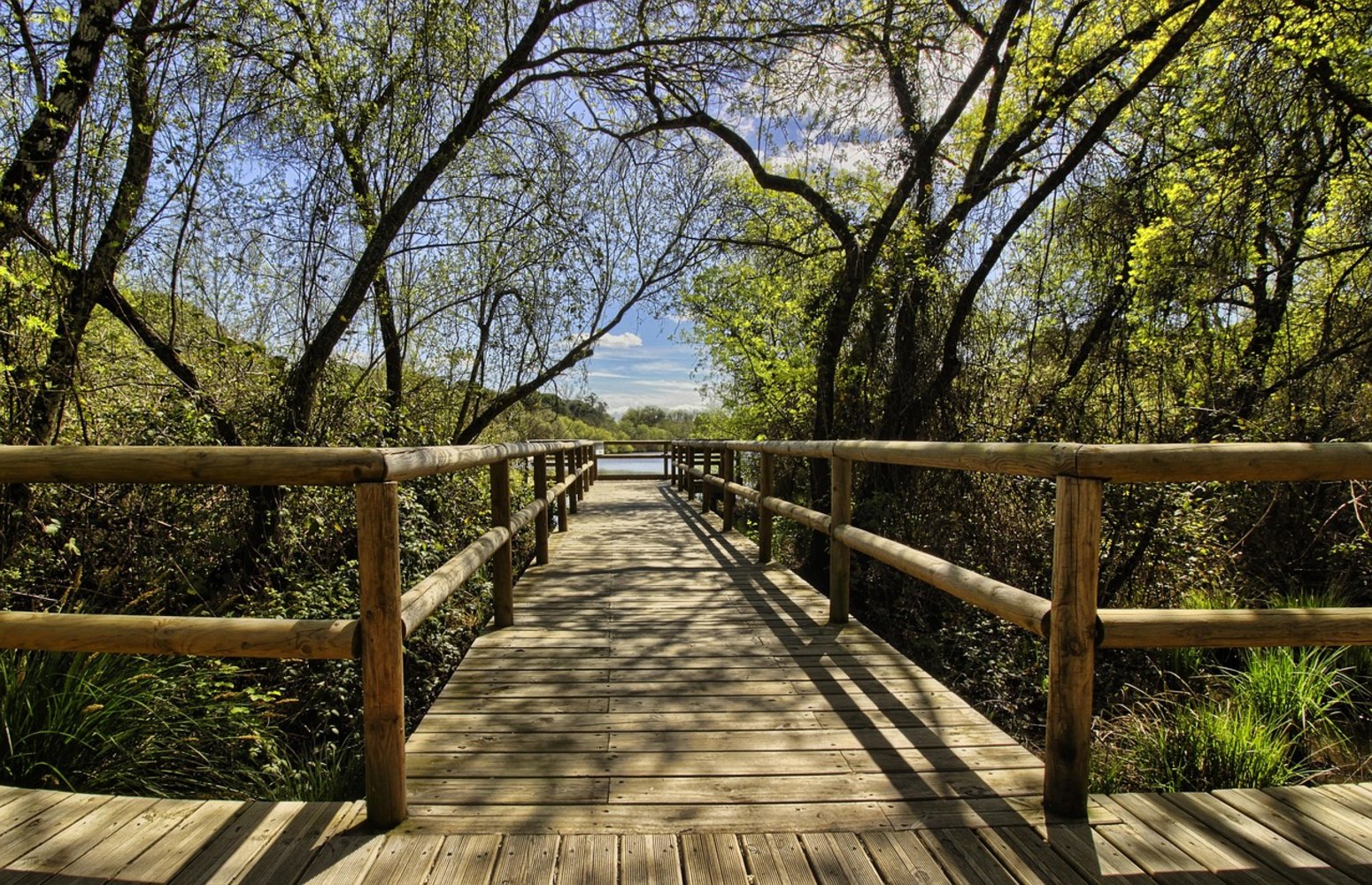 Pasarela en el Parque Nacional de Doñana, excursión en familia con niños