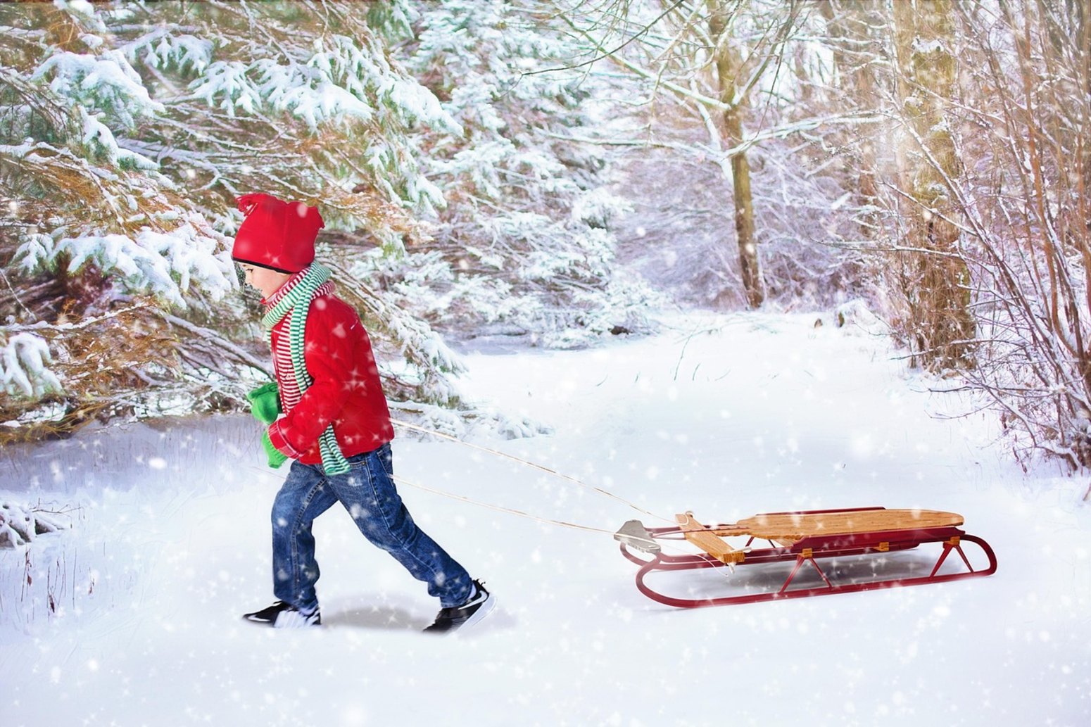 Niño con trineo en la nieve, viaje monoparental a Laponia