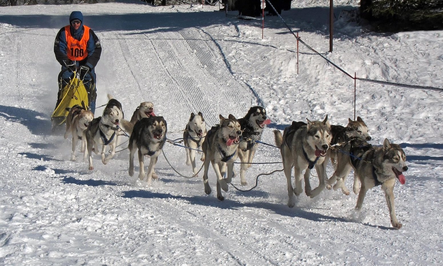 Safari en trineo de huskies en Salla con niños