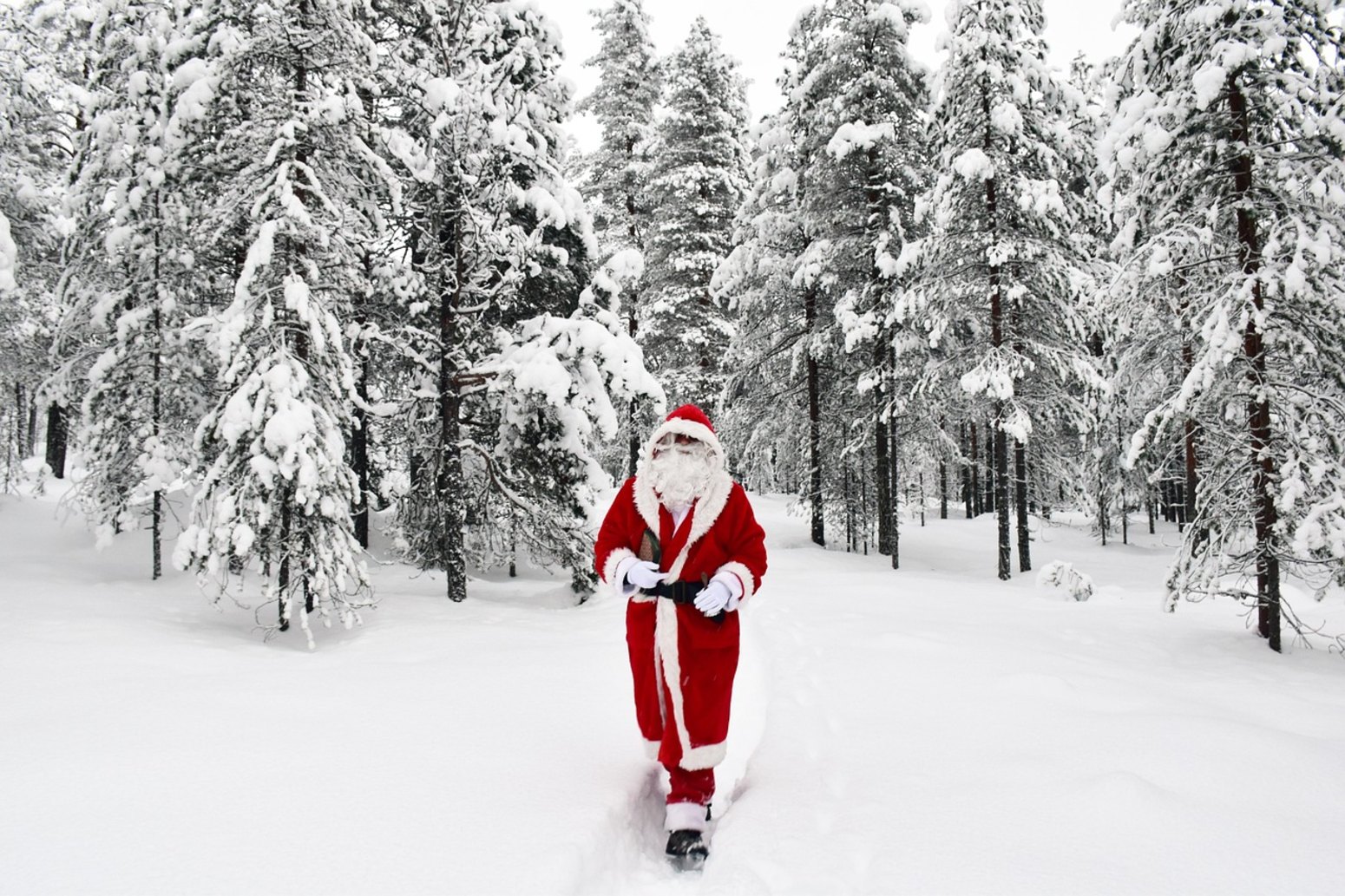 Santa Claus en el bosque nevado de Laponia