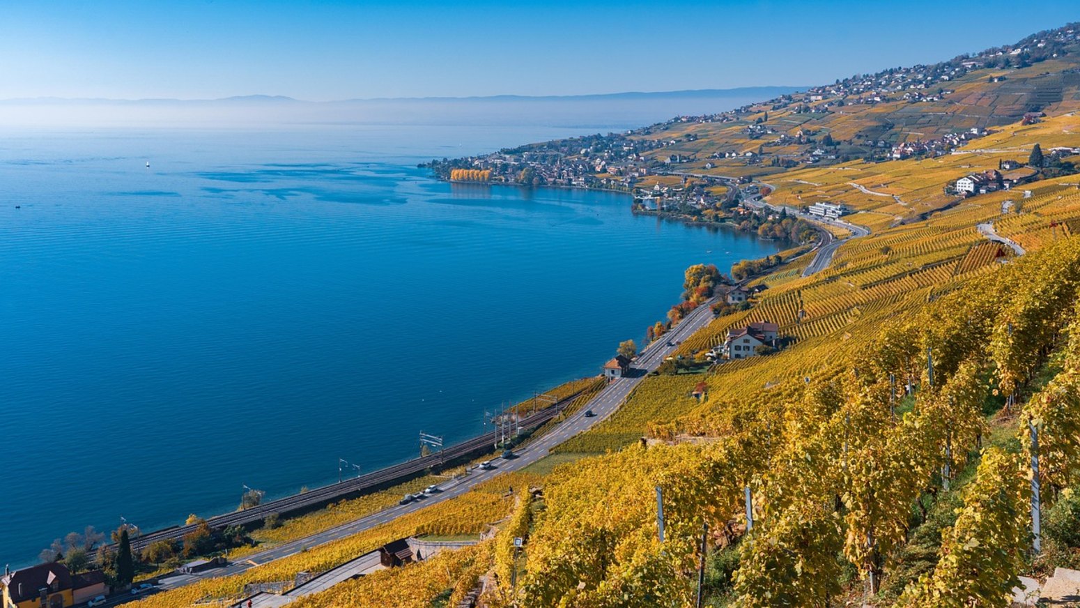 Viñedos de Lavaux sobre el lago Lemán