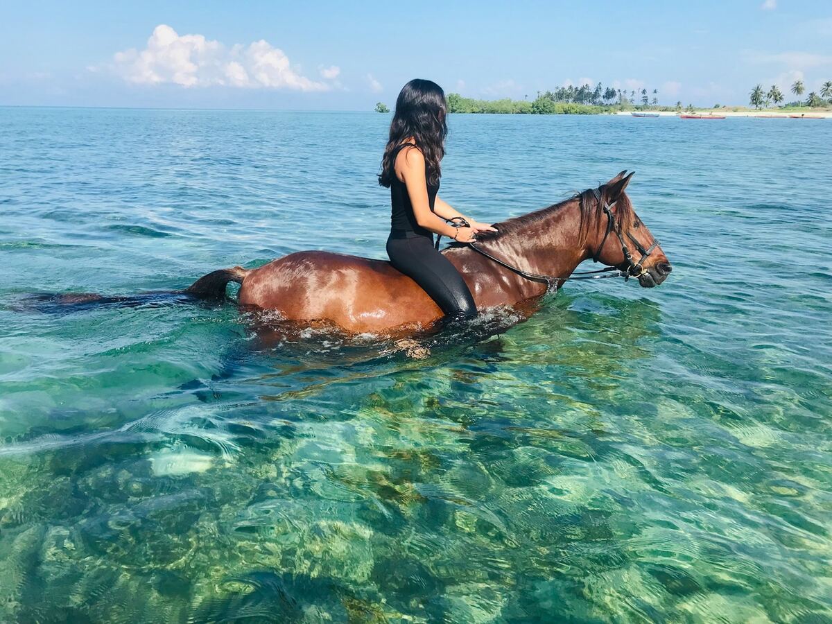 paseo a caballo por el mar de zanzibar