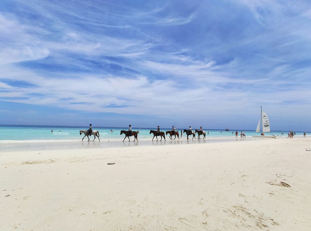 Paseo a caballo