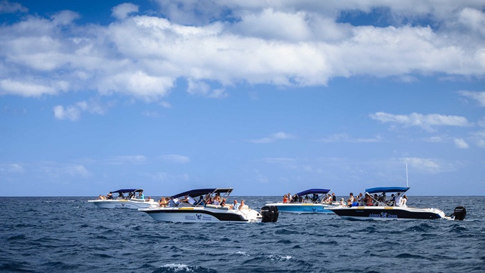 catamaranes en la laguna