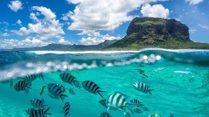 snorkel en el arrecife de isla mauricio